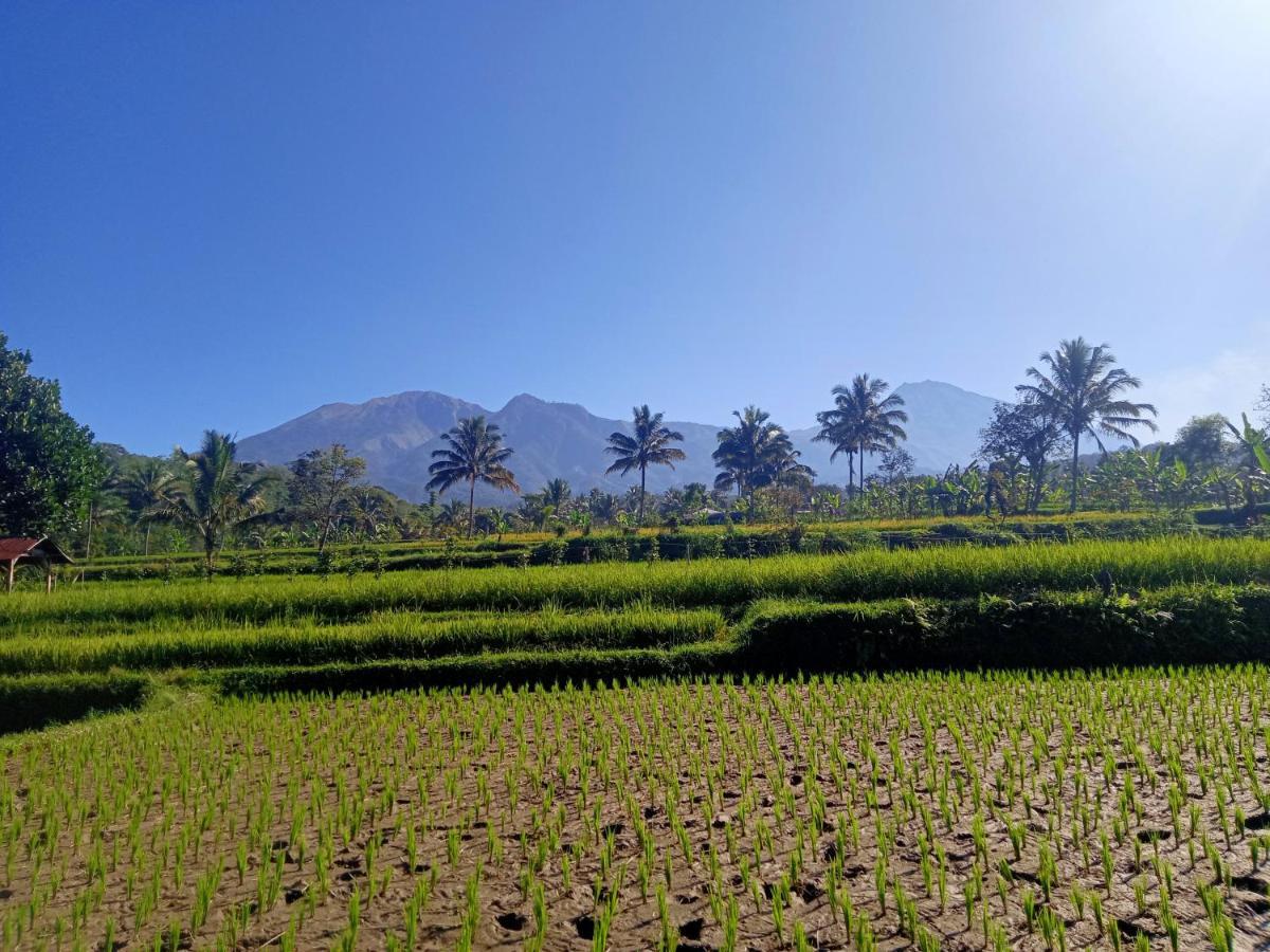 Tetebatu Sunrise Homestay Esterno foto