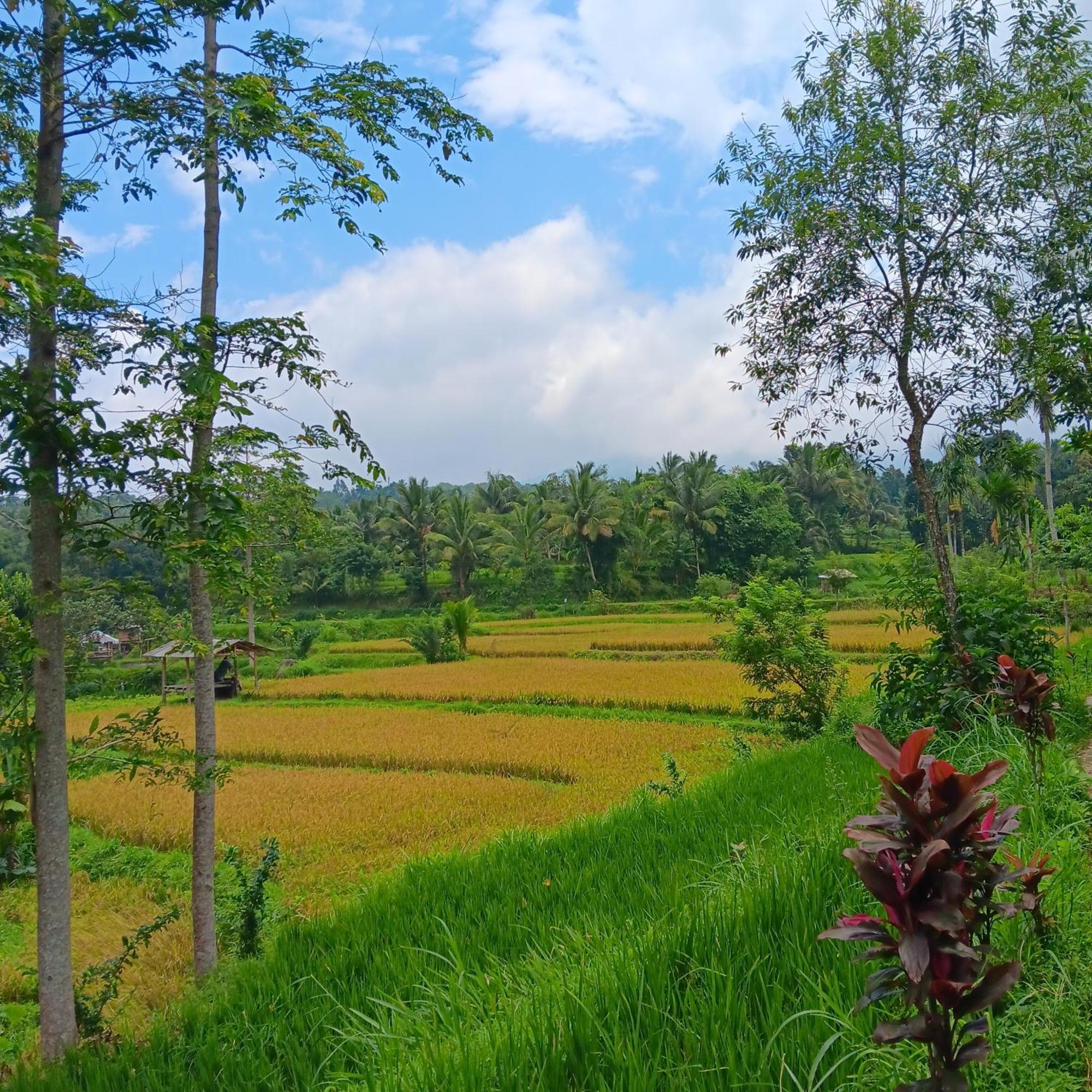 Tetebatu Sunrise Homestay Esterno foto