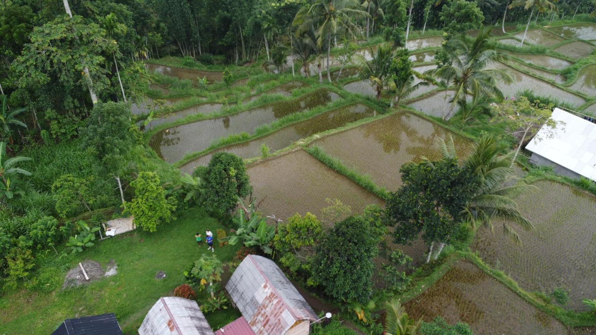 Tetebatu Sunrise Homestay Esterno foto