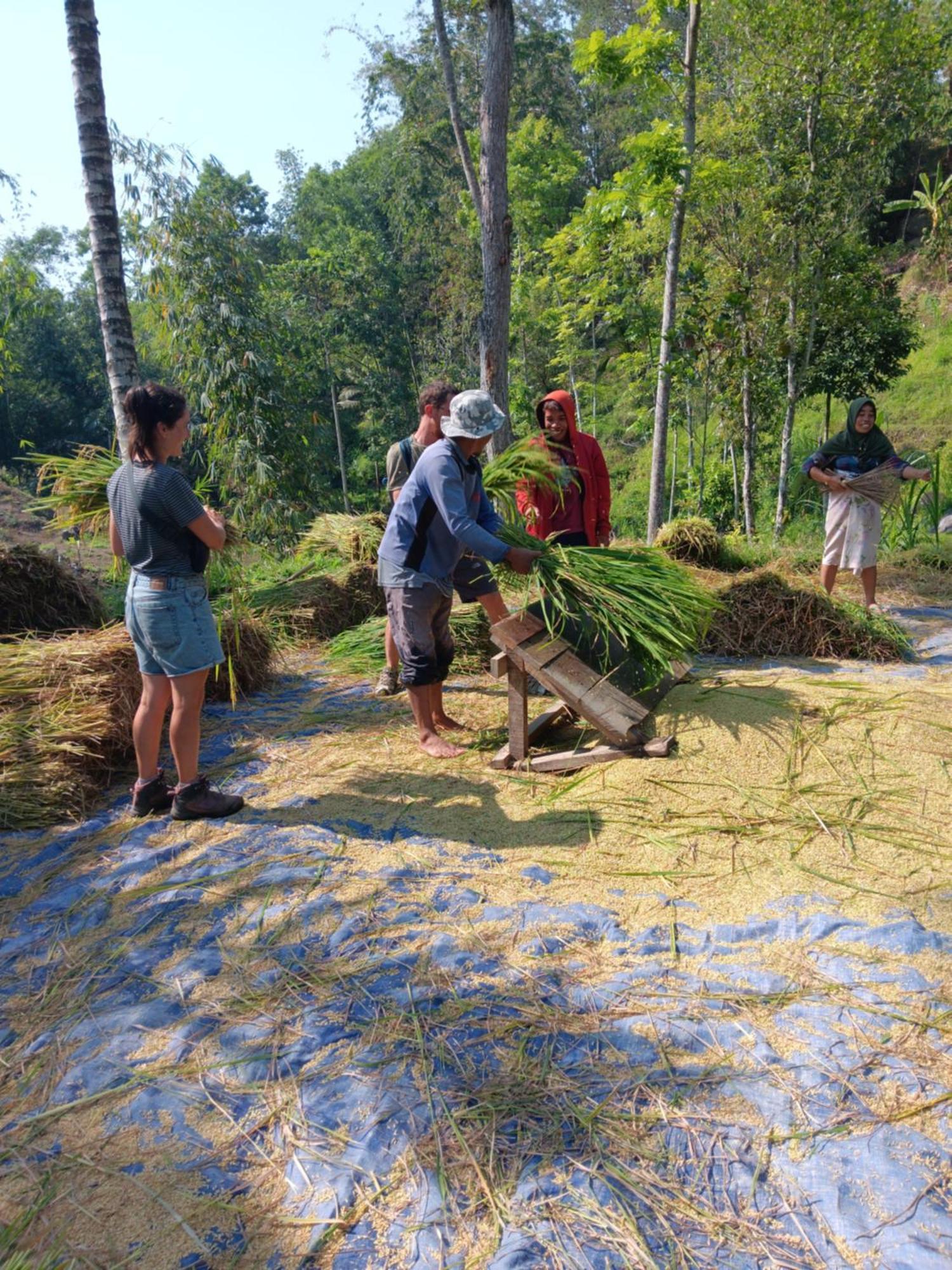 Tetebatu Sunrise Homestay Esterno foto
