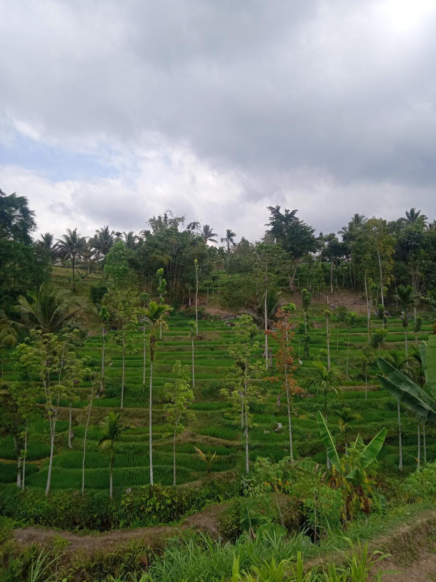 Tetebatu Sunrise Homestay Esterno foto