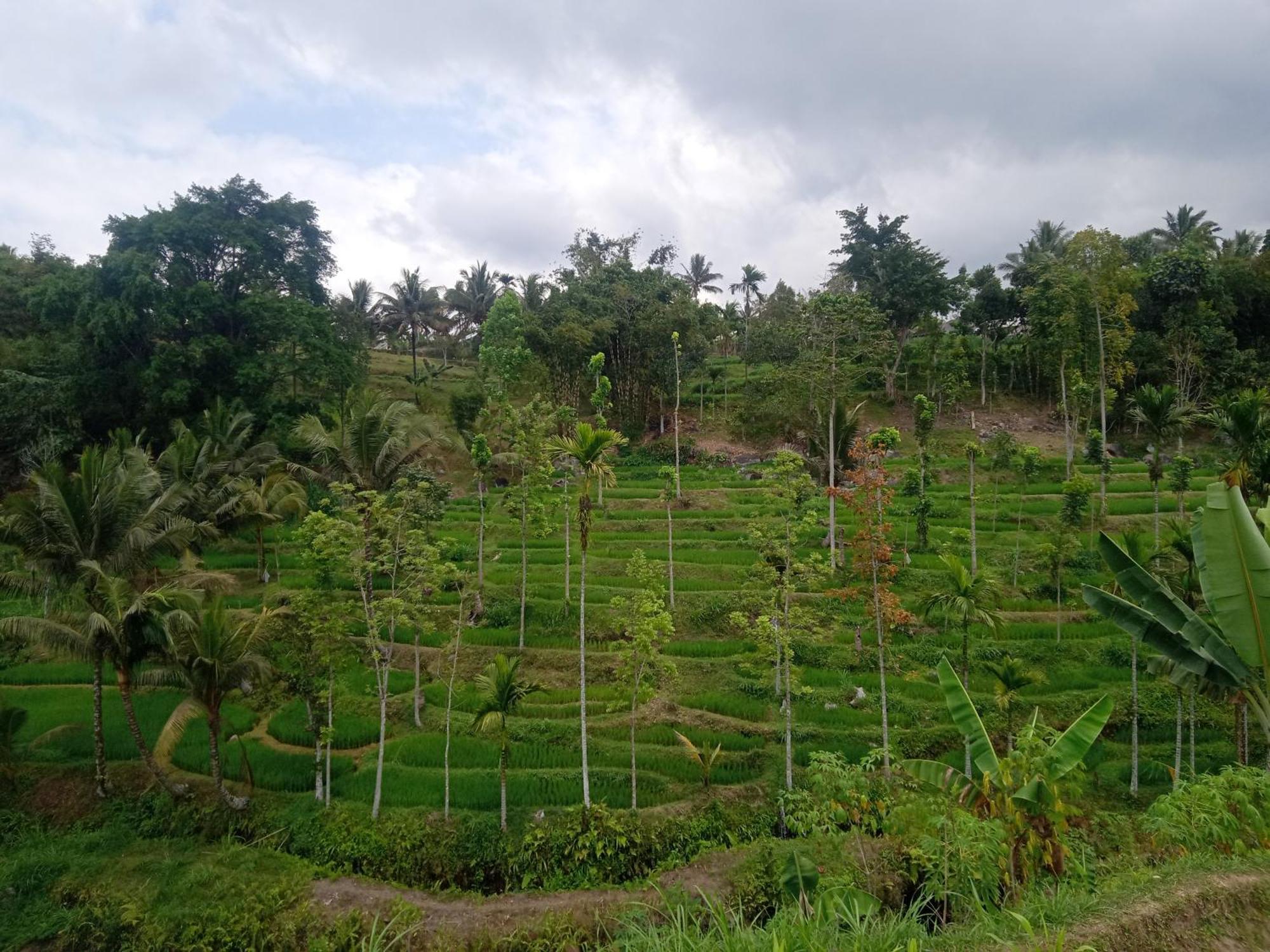 Tetebatu Sunrise Homestay Esterno foto