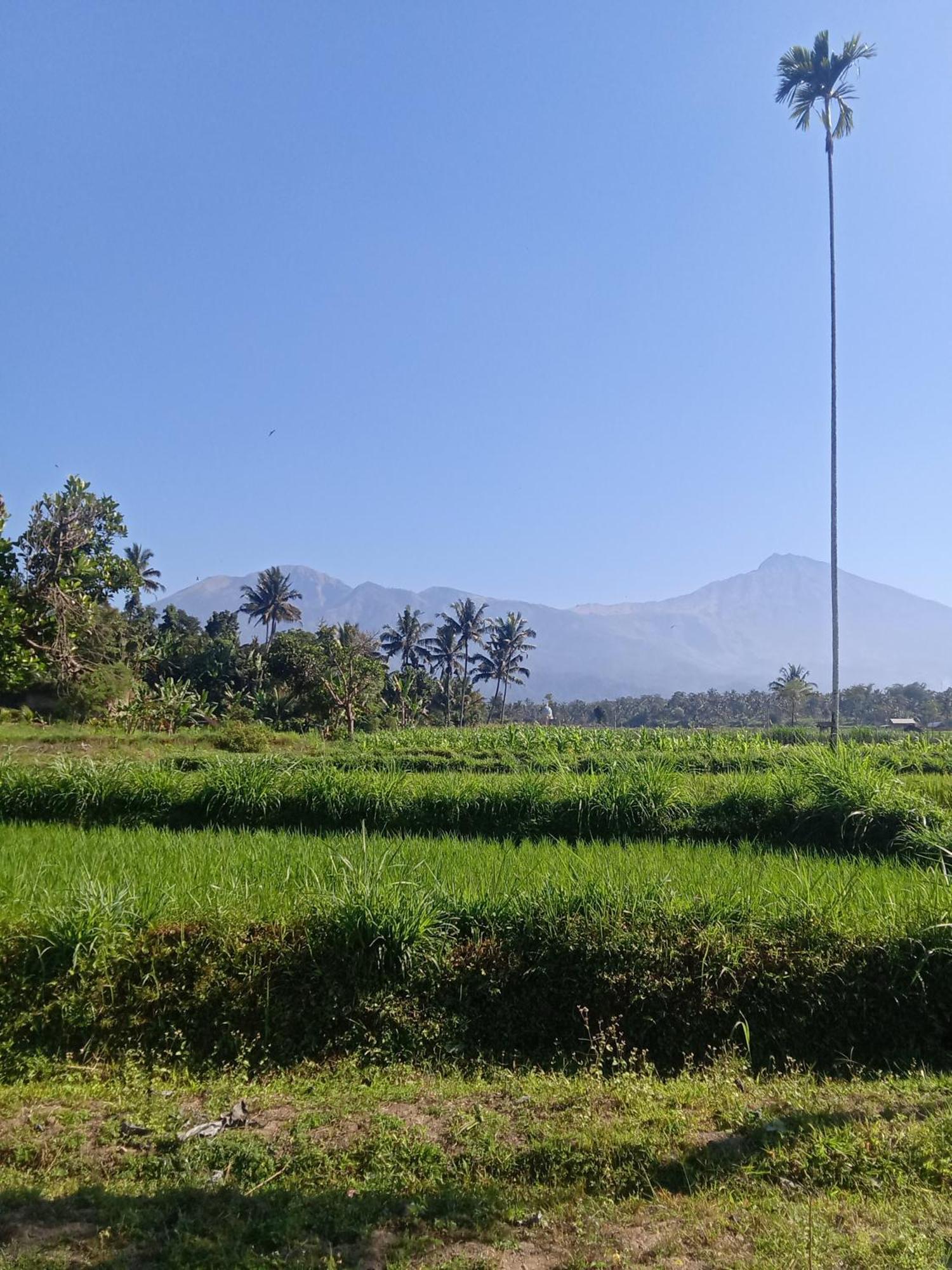 Tetebatu Sunrise Homestay Esterno foto