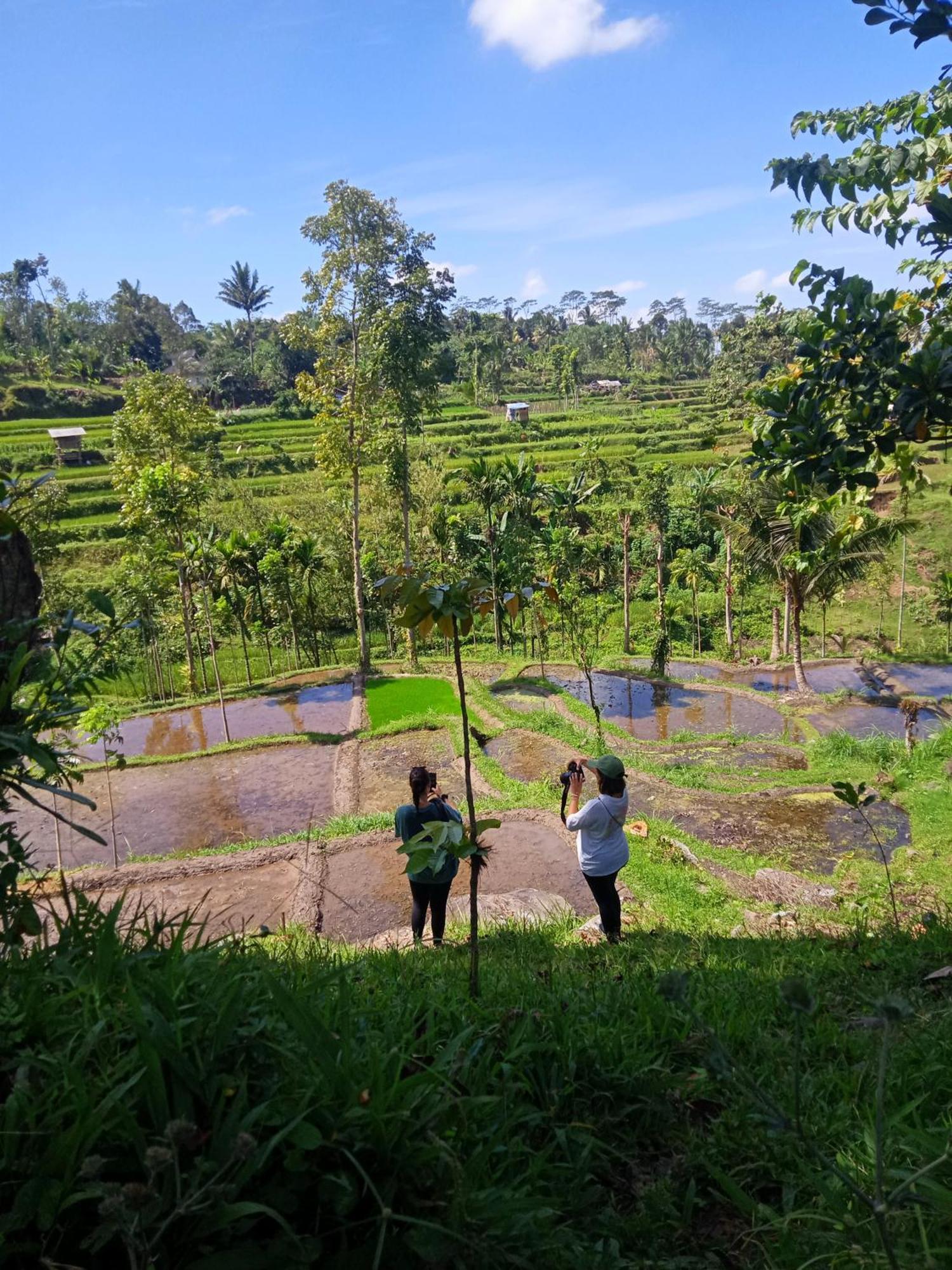 Tetebatu Sunrise Homestay Esterno foto