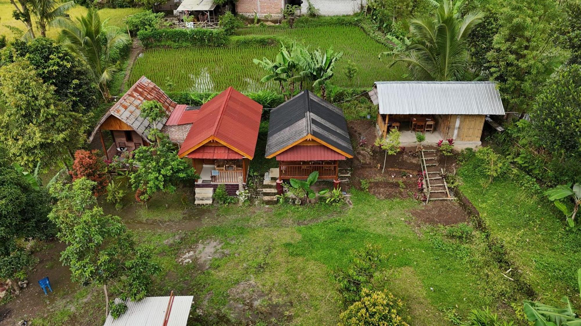 Tetebatu Sunrise Homestay Esterno foto